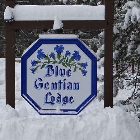 Blue Gentian Lodge At Magic Mountain Лондондеррі Екстер'єр фото