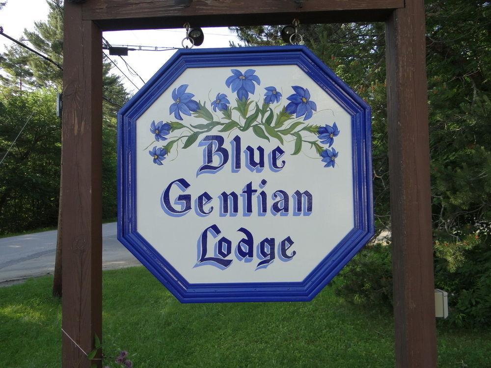 Blue Gentian Lodge At Magic Mountain Лондондеррі Екстер'єр фото