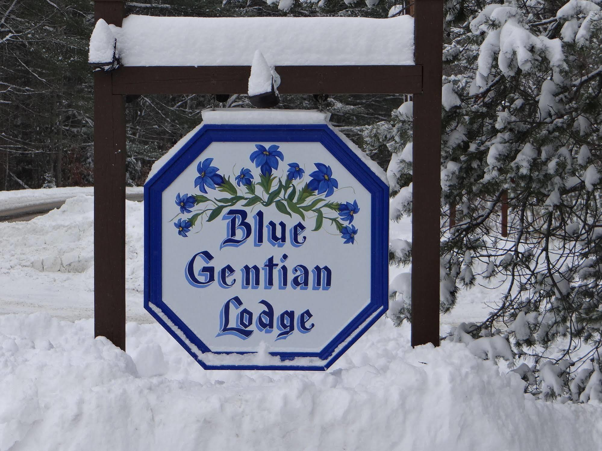 Blue Gentian Lodge At Magic Mountain Лондондеррі Екстер'єр фото