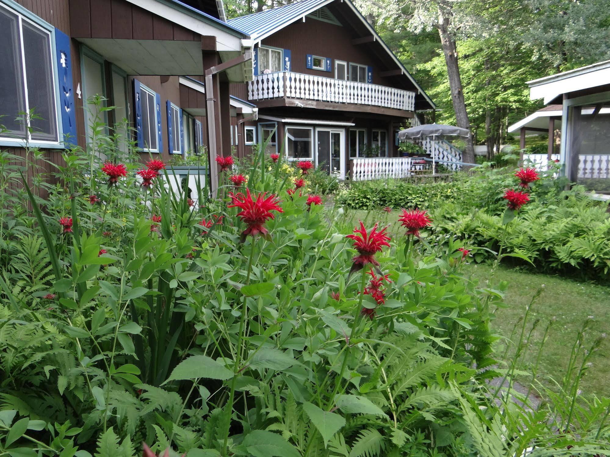 Blue Gentian Lodge At Magic Mountain Лондондеррі Екстер'єр фото
